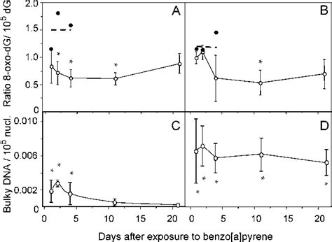 Levels Of Oxo Dg Per Dg In Rat Liver A And Lung B And