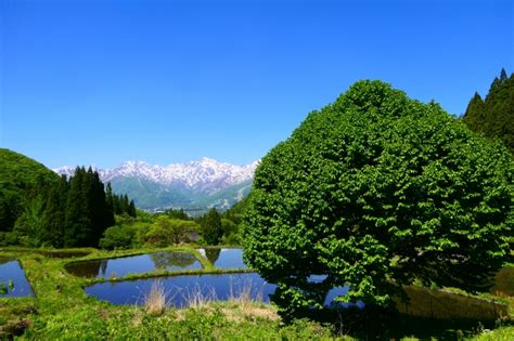 白馬村青鬼の写真 ｜ 白馬村（北安曇郡）観光