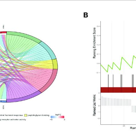 Functional Enrichment Analysis Of Degs Between The High And Low Risk