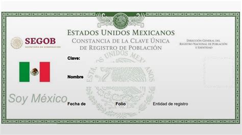 Perla Menor Ataque De Nervios Registro Nacional De Poblacion Curp