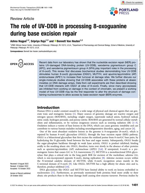 Pdf The Role Of Uv Ddb In Processing 8 Oxoguanine During Base