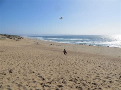 Marina State Beach in Marina, CA - California Beaches