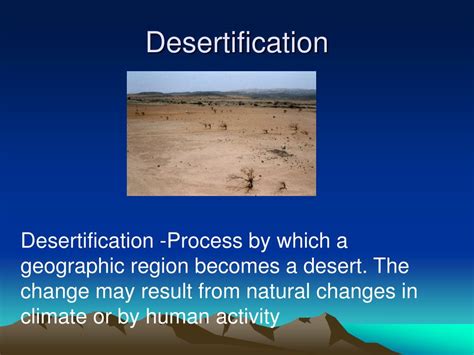 PPT - Preventing Soil Erosion PowerPoint Presentation, free download ...