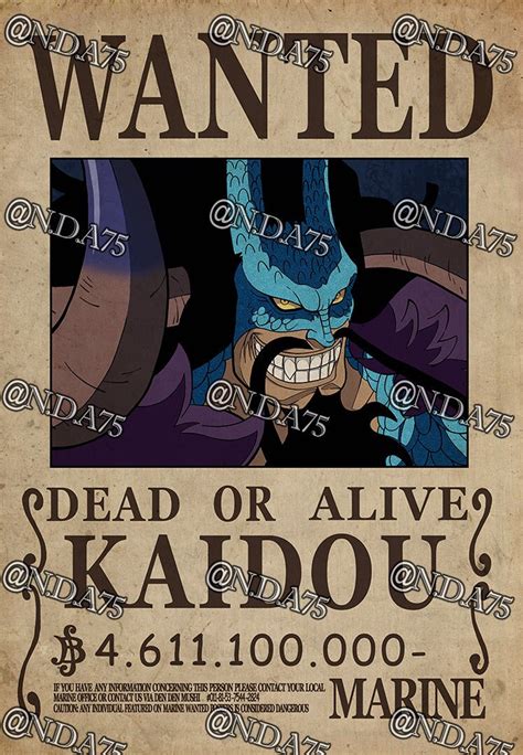 Kaido Wanted Poster