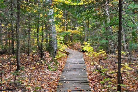 Best Hikes In Michigans Upper Peninsula All The Trails You Need To