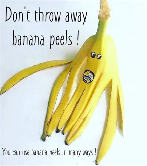 Unusual Uses for Banana Peels - HubPages