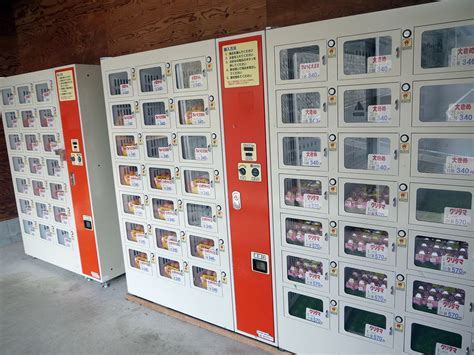 Japanese Egg Vending Machine