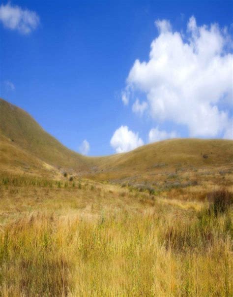 ABPHOTO Polyester 5x7ft Autumn Fall Yellow Grass Hill Photography