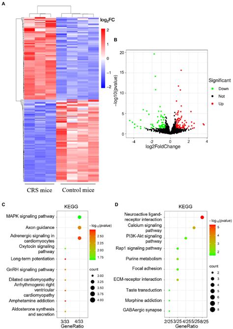 mRNA expression profile analysis of the hippocampus in control mice and ... 