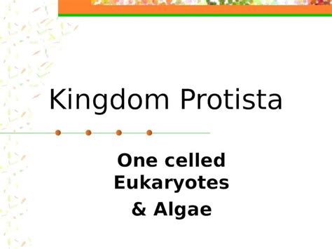 (PPT) Kingdom Protista One celled Eukaryotes & Algae Protista: Plant ...