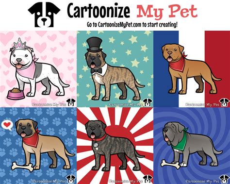 Cartoonize My Pet