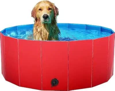 Piscinas Para Perros Compra La Mejor Piscina Para Perros