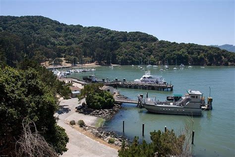 Top Bay Area Picnic Spots For Families Including Marin County