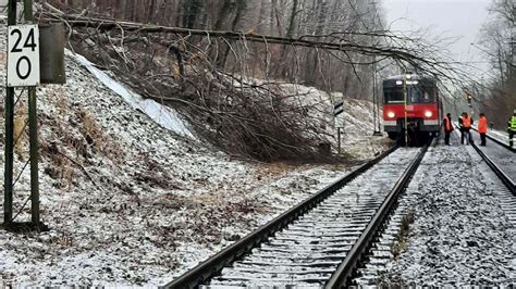 Baum fällt in Oberleitung der S4 Einschränkungen im S Bahn sowie