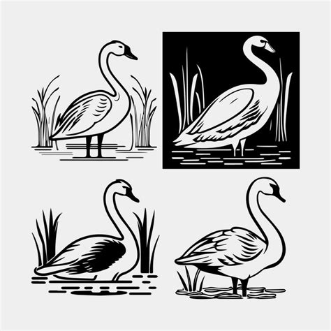 Set Of Black Silhouette Swan Largest Flying Bird Swim On Water Cartoon