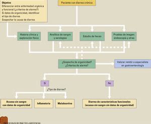 Protocolo diagnóstico etiopatogénico de la diarrea crónica Medicine