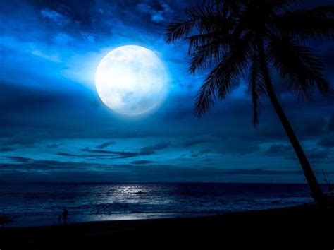 Moonlight Beach Stock Photos Images And Backgrounds For Free Download