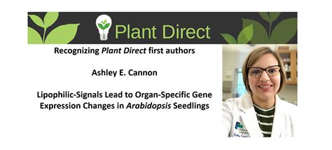 Recognizing Plant Direct Authors Ashley E Cannon Plantae