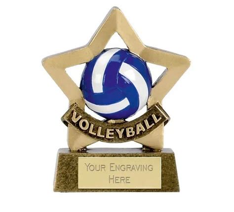 Volleyball Award Trophy Personalized Engraving - Etsy