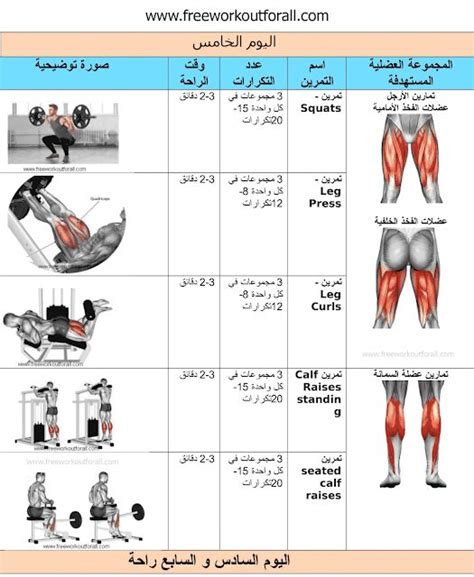 جدول تمارين كمال اجسام 4 أيام Fun Workouts Gym Workout Guide