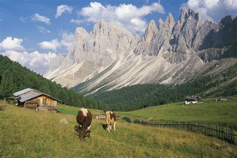 Escursione Alla Malga Brogles A Funes Escursioni Funes Valle Isarco