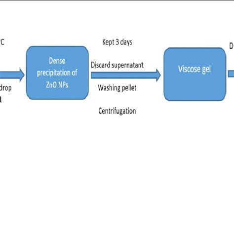 Schematic Presentation Of Zno Nps Green Synthesis Download Scientific Diagram