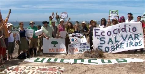 Contra O Abate De Sobreiros Em Morgavel Sines Federa O