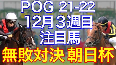 【pog21 22】12月3週目デビューの注目新馬を紹介【無敗対決！朝日杯fs！ 出世レースひいらぎ賞も注目】 Youtube