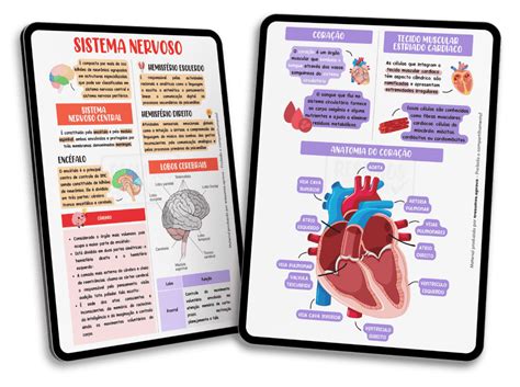 Combo Anatomia Fisiologia Humana Resumos Aprova