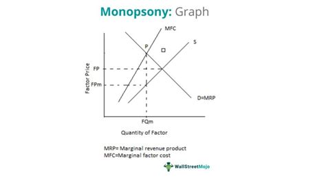 Monopsony - Definition, Power, Market Examples & Graph