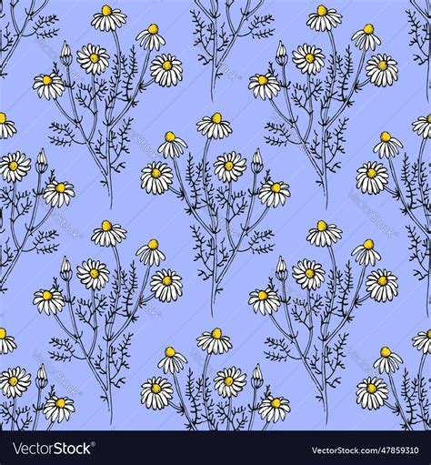 Seamless Pattern With Hand Drawn Chamomile Flowers