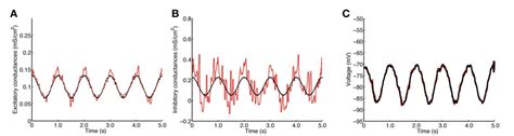 Table 2 From Estimation Of Synaptic Conductances In Presence Of