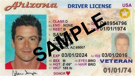 Arizona Drivers License • Types And Requirements Unemployment Gov