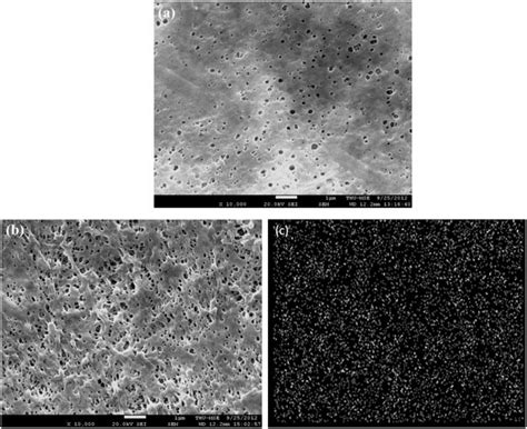 Sem Images Of The Surfaces Of The Pvdf Hfp Based Porous Membranes A