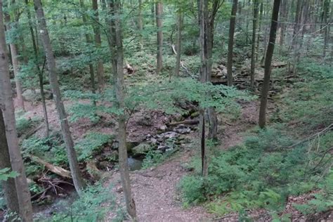 At Day Appalachian Trail World Hike Naked Day Bikehikesafari