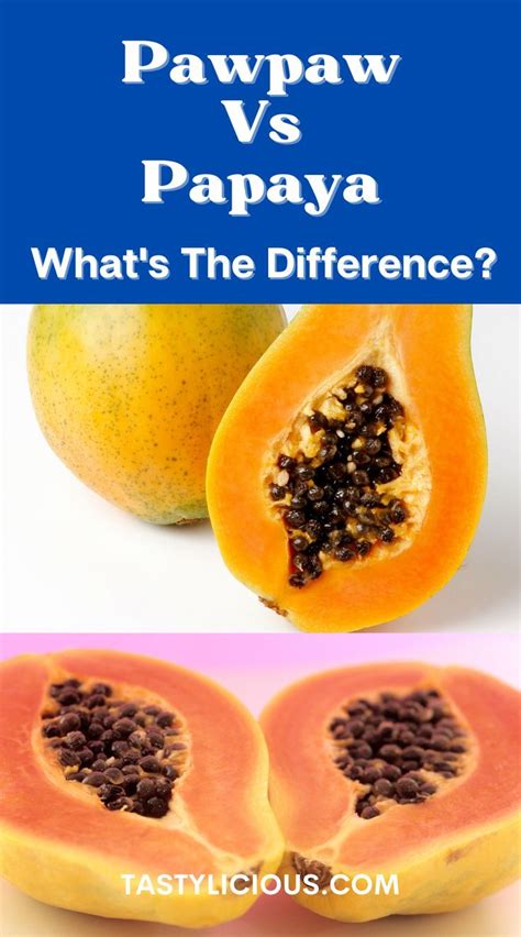 Pawpaw Vs Papaya A Comprehensive Comparison