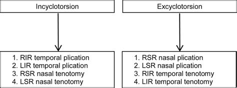 Adjustable Small Incision Selective Tenotomy And Plication For