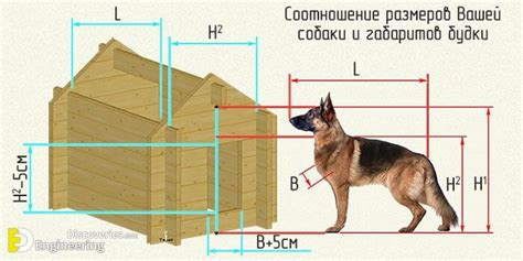 Dog House Design Idea And Dimensions | Engineering Discoveries | Dog ...