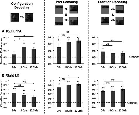 FMRI MVPA Decoding Performance In The Main Experiment For The Seven