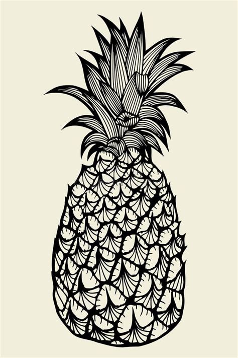 Pineapple Fruit Hand Drawn Stock Vector Illustration Of Fresh 90824630