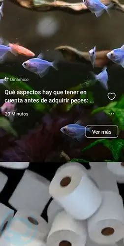 C Mo Quitar Las Noticias De La Pantalla De Bloqueo Xiaomi