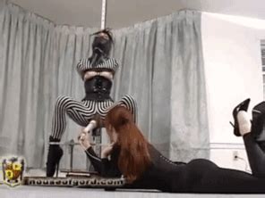 My Hot Collection Bdsmlr 10575781 Ce8HKEQHID Porn Pic