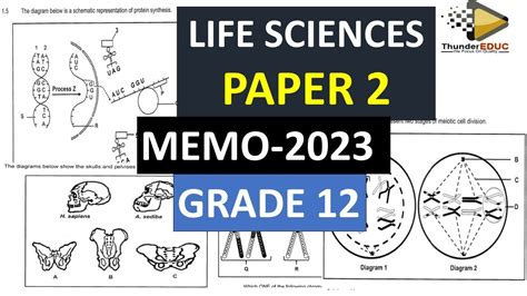 Copy Of Memo Life Sciences P Garde Final Exams