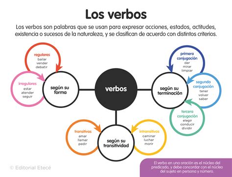 50 Ejemplos de Verbos de Acción