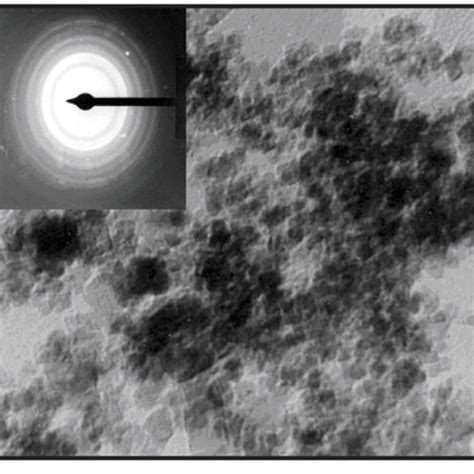 Tem Image Of Magnetite Nanoparticles Download Scientific Diagram