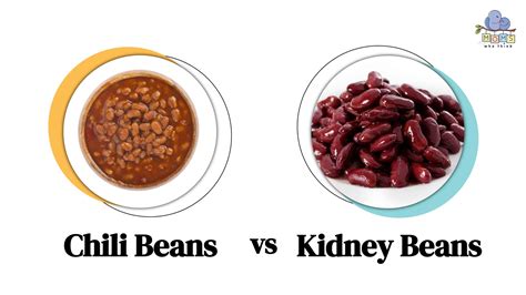 Chili Beans Vs Kidney Beans Which One Is Right For Your Dish