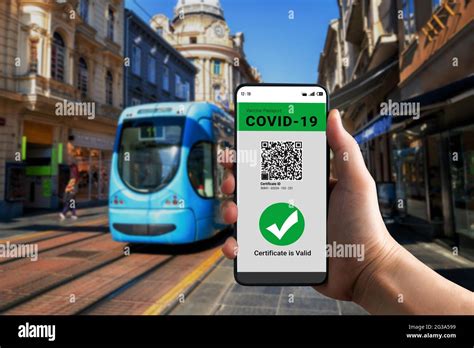 El Viajero Posee Un Certificado De Pasaporte De Vacuna Para Mostrar El