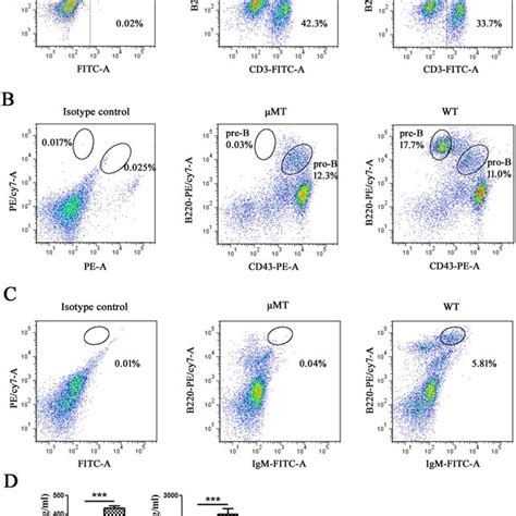 Igm And Igg Were Secreted From Sorted Liver Epithelial Cells A Ck