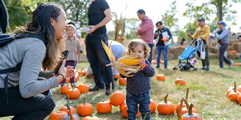 Pumpkin Patch At Queens Botanical Garden New York Loves Kids