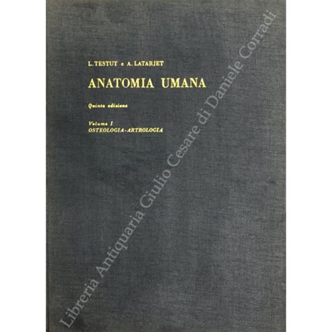 Trattato Di Anatomia Umana